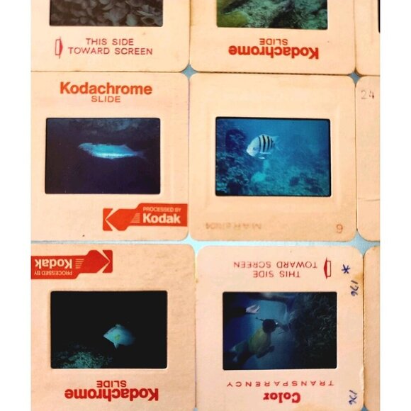 1980s 35mm Slide Film Frames Nautical Lot Of 100 Sea Life Fish Coral Vtg E50B - Picture 6 of 7